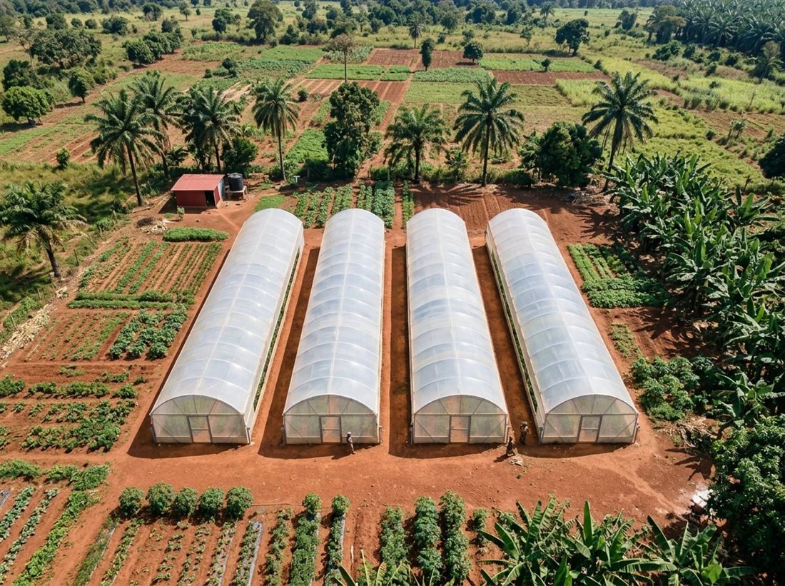 Serre 500 m²